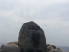 1 (85)