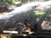 20170531_162414