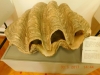 DSCN3041