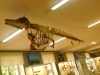DSCN3072